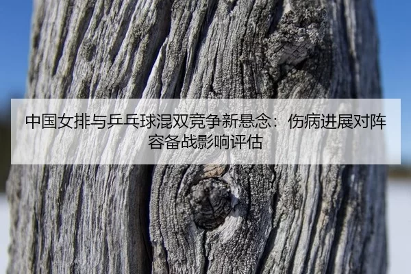 中国女排与乒乓球混双竞争新悬念：伤病进展对阵容备战影响评估